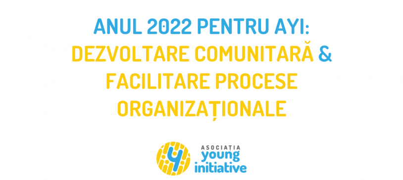 Anul 2022 pentru Asociația Young Initiative: dezvoltare comunitară și facilitare procese organizaționale