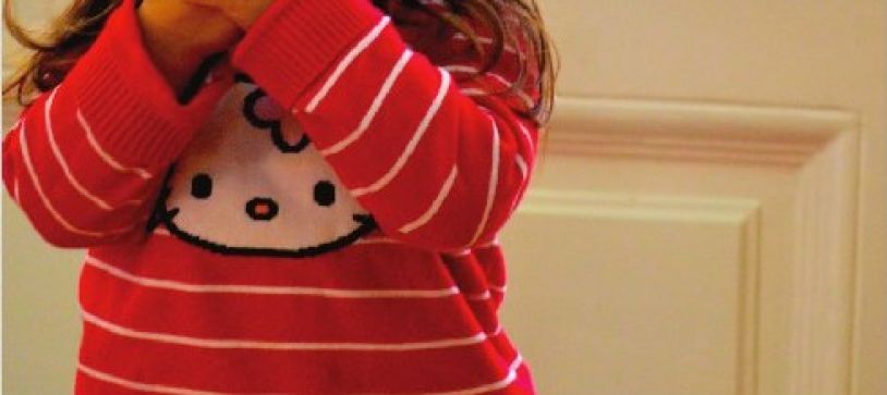 Raportul Anual 2012 este acum disponibil