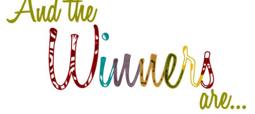 Rezultate schimb de tineri Irlanda de Nord